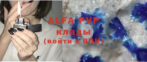 стаф Абинск