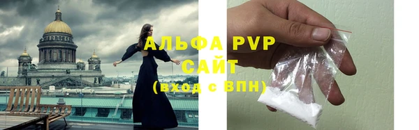 стаф Абинск