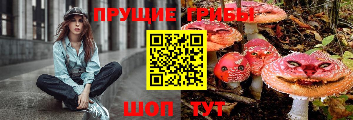 Галлюциногенные грибы Cubensis Абинск